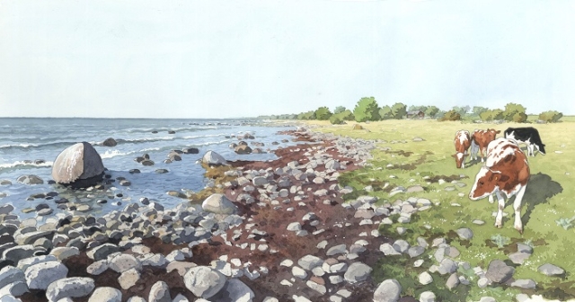 Reproducerad akvarell/giclée - Kor på strandängarna norr om Vannborga
